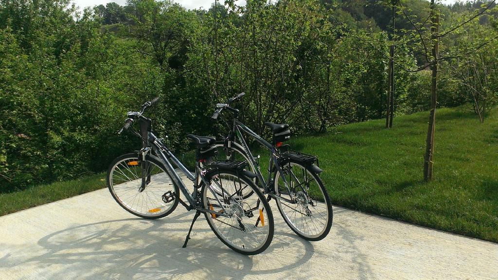 Ortenia Apartments In Nature Podcetrtek Room photo